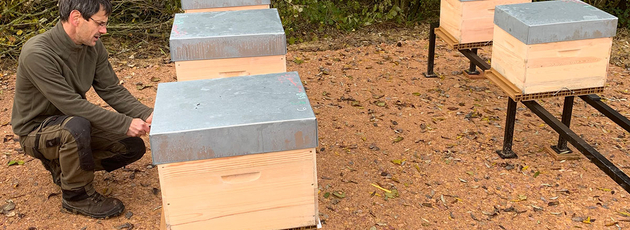 Pracowite pszczoły zagościły na terenie firmy Superfos w La Genête 