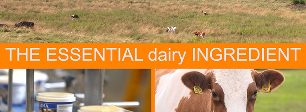 Nuevo vídeo sobre los envases para productos lácteos 