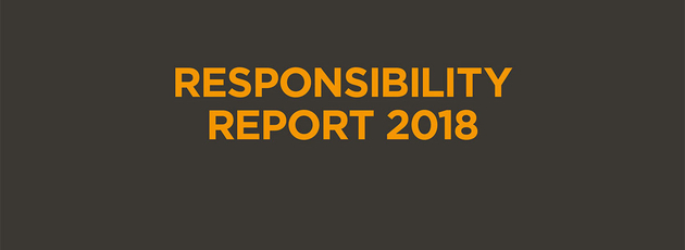 La relazione 2018 di RPC in materia di responsabilità ha carattere informativo